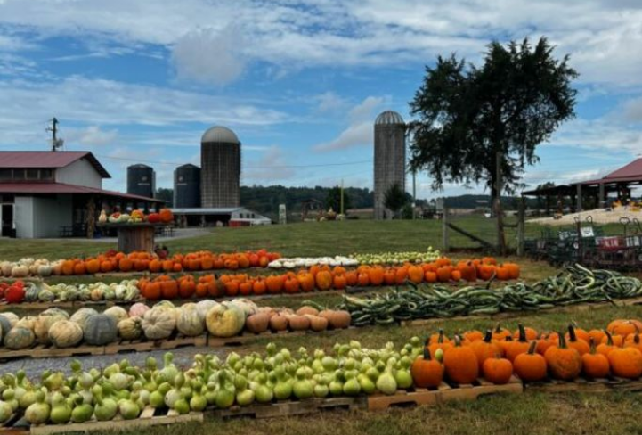 Preview image of Top Events Happening in Chattanooga this Weekend: October 6-8